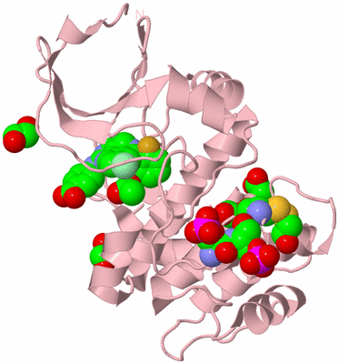 Image Biological Unit 3