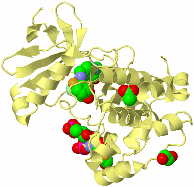 Image Biological Unit 4