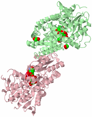 Image Biological Unit 1