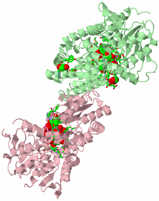 Image Biol. Unit 1 - sites