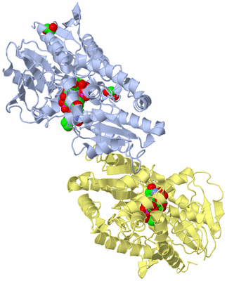 Image Biological Unit 2