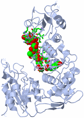 Image Biol. Unit 1 - sites