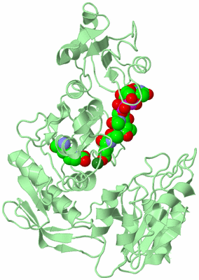 Image Biological Unit 2