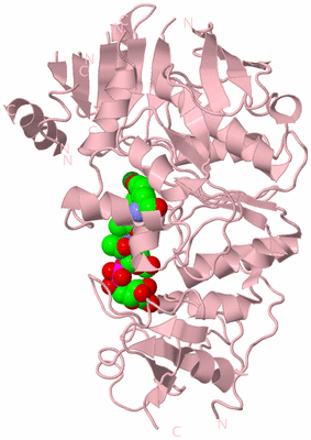 Image Biological Unit 3