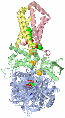 Image Biological Unit 1