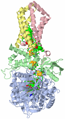 Image Biol. Unit 1 - sites