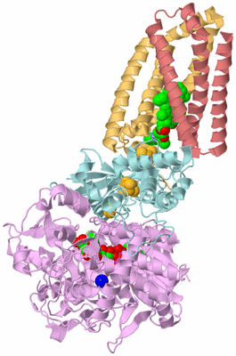 Image Biological Unit 2