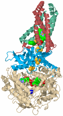 Image Biological Unit 3