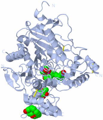 Image Biological Unit 1