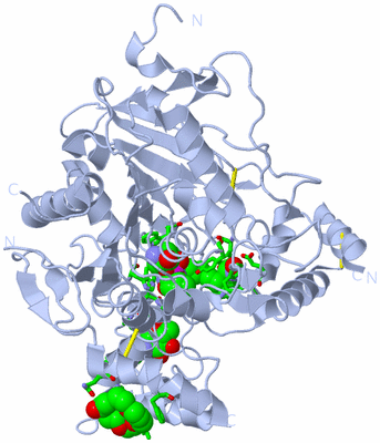 Image Biol. Unit 1 - sites