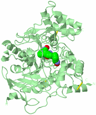 Image Biological Unit 2