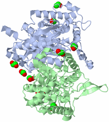 Image Asym./Biol. Unit