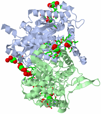 Image Asym./Biol. Unit - sites