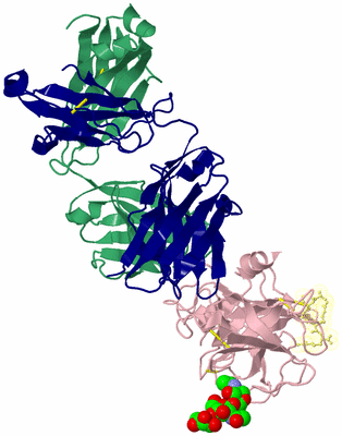 Image Biological Unit 1