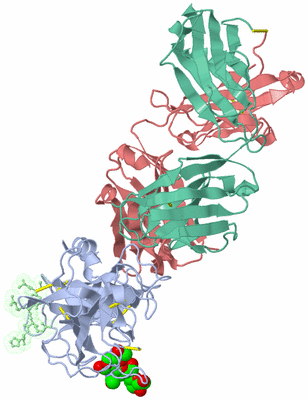 Image Biological Unit 2