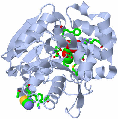 Image Biol. Unit 1 - sites