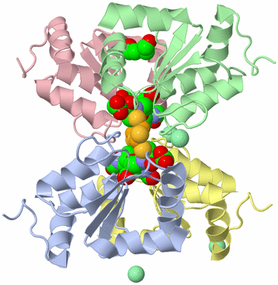 Image Asym./Biol. Unit