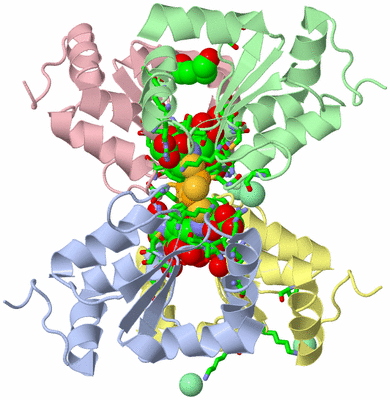 Image Asym./Biol. Unit - sites