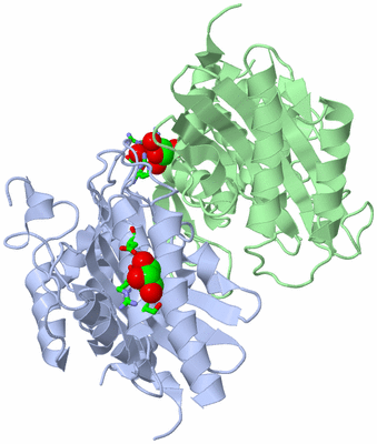 Image Asym./Biol. Unit - sites