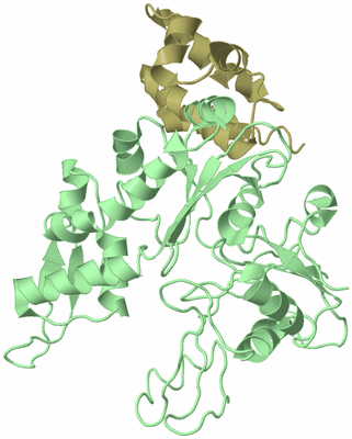 Image Biological Unit 2