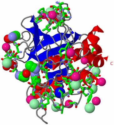 Image Asym./Biol. Unit - sites