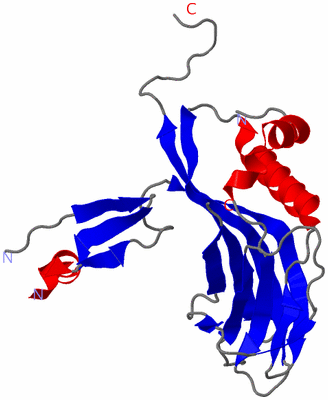 Image Asymmetric Unit