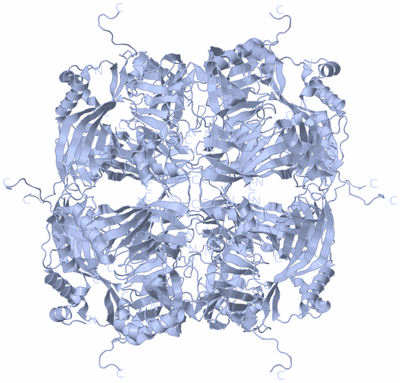 Image Biological Unit 1