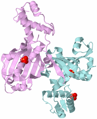 Image Biological Unit 3