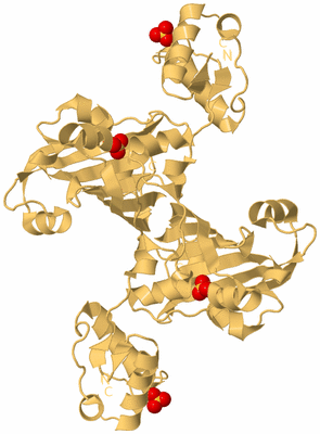 Image Biological Unit 4