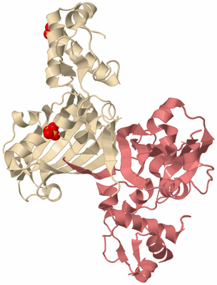 Image Biological Unit 5