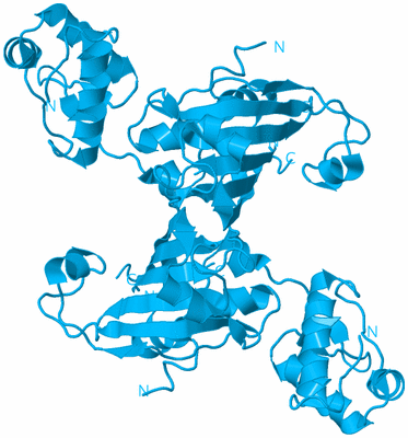 Image Biological Unit 6