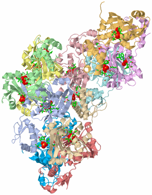 Image Asym. Unit - sites