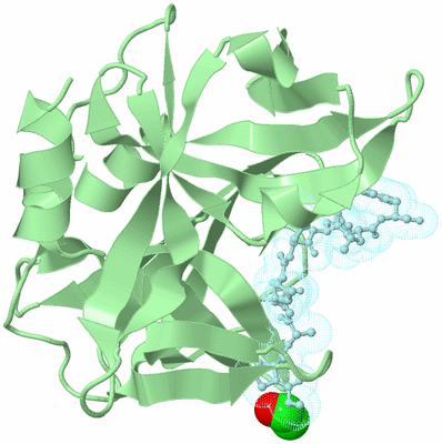 Image Biological Unit 3