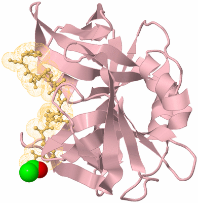 Image Biological Unit 4