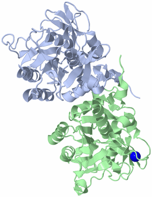 Image Biological Unit 1