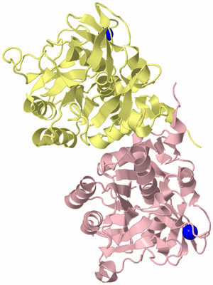 Image Biological Unit 2