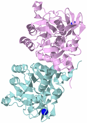 Image Biological Unit 3