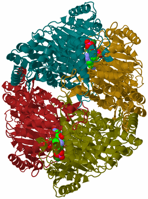 Image Biological Unit 1