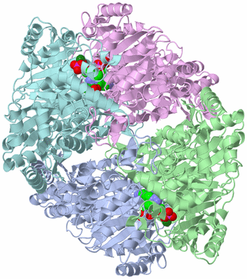 Image Biological Unit 2