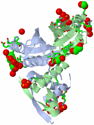 Image Asym./Biol. Unit - sites