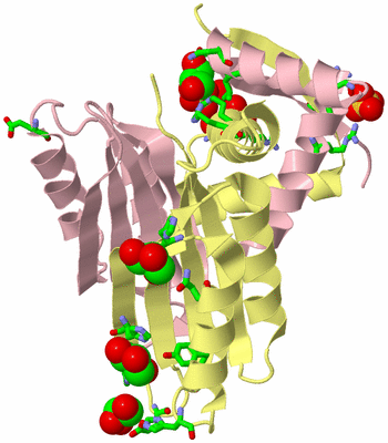 Image Biol. Unit 1 - sites