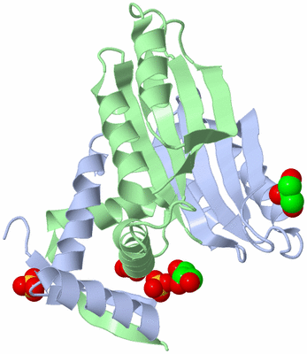 Image Biological Unit 2