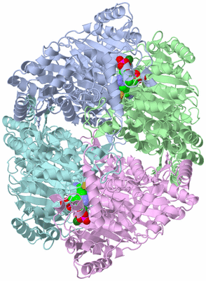 Image Biological Unit 1