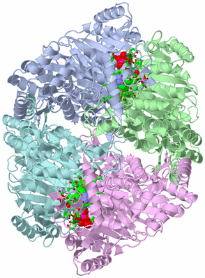 Image Biol. Unit 1 - sites