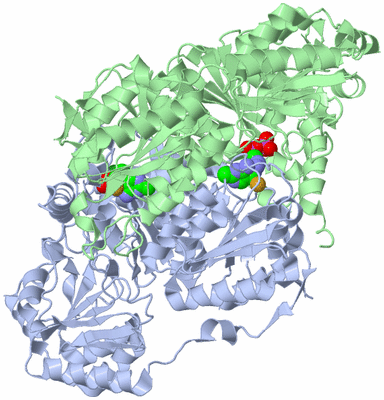 Image Biological Unit 2