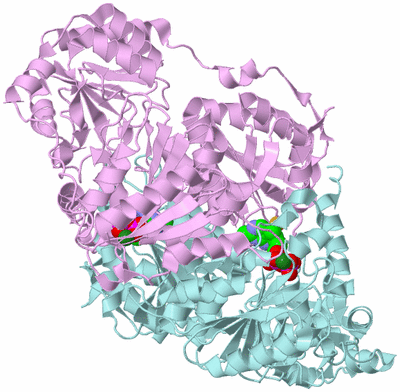 Image Biological Unit 3