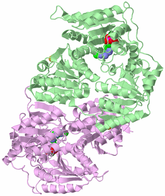 Image Biological Unit 5