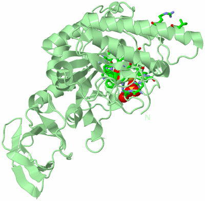 Image Biol. Unit 1 - sites