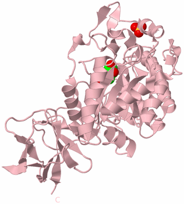 Image Biological Unit 2