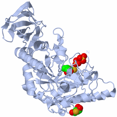 Image Biological Unit 3